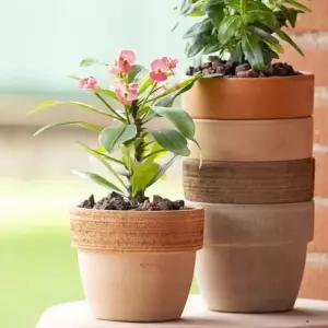 바소 16x14cm 미니화분 꽃특이한화분 빈화분 도기 도자기 분재용 귀여운 화분 심플한 깔끔한