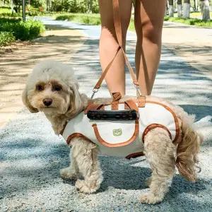 강아지 산책 하네스 목줄 리드 외출용 애완동물 용품세트 소형견추천 애견 반려견 개하 소형견 목걸이 중형