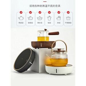 인덕션 블랙 소형 프로피플러스 아백단로 냄비 원룸 평면형 그자동차 세라믹 전기