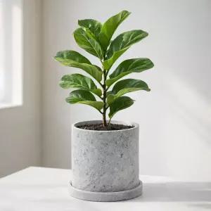 빈티지 시멘트 실린더 원형 화분 L 15x15cm 라이트그레이원예 베란다 디자인 물구멍 카페 꽃화분 식물 분배