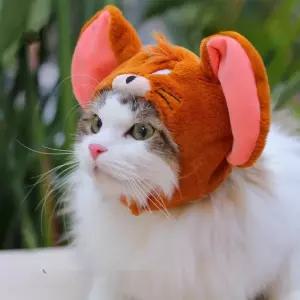 고양이 강아지 모자 반려견 반려묘 만화 소품 친구 액세서리 캐릭터 귀여운