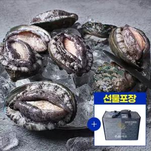 [마녀바스켓] 해남 완도 활전복 1kg(9~10미)+전복칼 (선물세트포장)