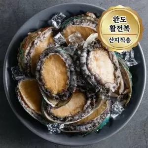 산지직송 완도 활전복 대사이즈 1kg (11~13미) 산소포장