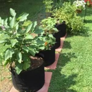 대형 화분 블루베리 원형 부직포 텃밭 재배용