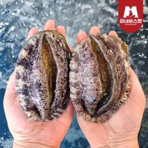 [마녀바스켓] 해남 완도 활전복 1kg(9~10미)+전복칼