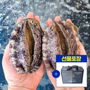[마녀바스켓] 해남 완도 활전복 1kg(7~8미)+전복칼 (선물세트포장)
