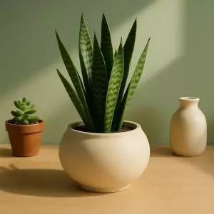 토분 샌드화이트 볼 대형 18x15cm 식물 화분