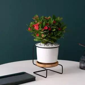 화분 스탠드 세트 도자기 인테리어 화분 블랙 대형