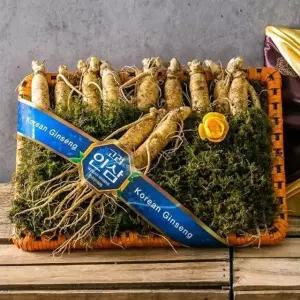 금삼 원수삼 선물세트 (고급 수삼 10뿌리 내외)