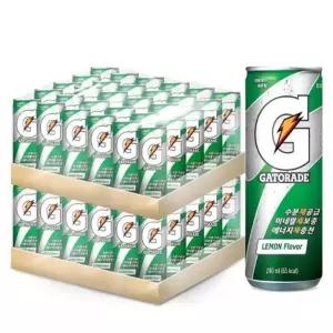 게토레이 레몬 240ml X 30 X 2팩_