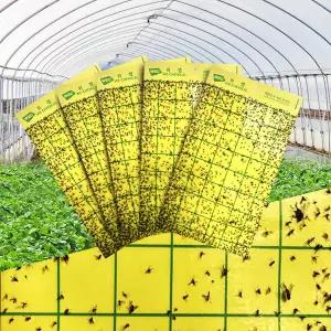 비닐하우스 끈끈이 트랩 50매입 250mmX150mm 해충퇴치 뿌리파리 진딧물 총채벌레 온실가루이 벌레 제거