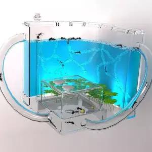 키우기 교육용 만들기 어린이 led 개미집 탐구 사육장 은신처 투명 터널 접시 선물 생물 학생 통로 키트
