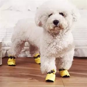 애견양말 강아지 애견 겨울 외출 신발 털신발 4p