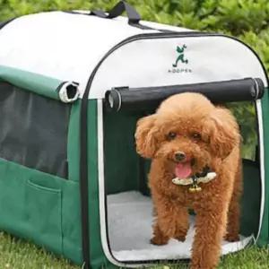 강아지 소프트 켄넬 대형견 이동장 가방 케이지 그린