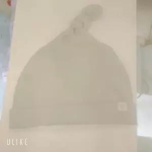 [셀러허브 1]해피랜드 HC11 벤자민 신생모  HY531504 (12392797)