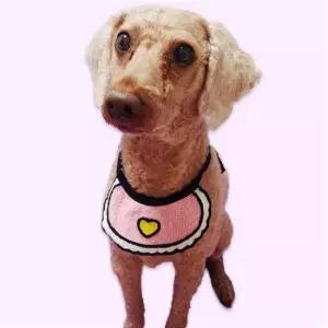 고양이스카프 강아지 턱받침 애완동물 스카프 대형