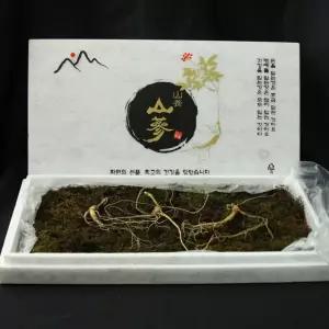 산양삼프리미엄 산양삼 20년산 이상 프리미엄 선물용 / 5뿌리+가족삼3뿌리+엑기스1포