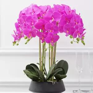서양난 조화 화분 승진 호접란 플랜테리어 꽃 사무실