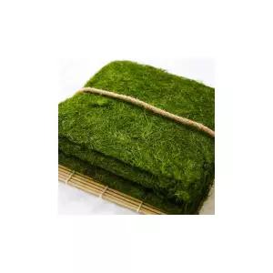 서동감태김 자연산 생마른감태, 김밥재료 감태 10매 1팩