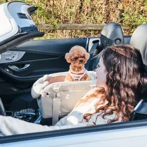 개과천선 테디백 강아지 콘솔 카시트 애견 자동차 차시트 드라이빙킷 오트밀 베이지