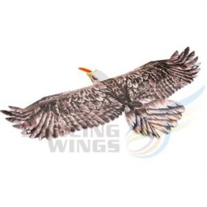 무선 조종 EPP 생체모방 비행기 1430mm 뉴 이글 II 모터 ESC 서보 포함