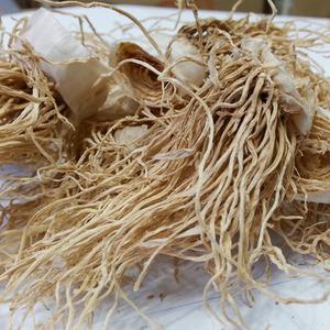 국내산 총백 (파뿌리) 300g