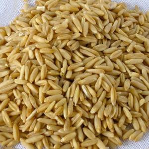 청정지역 귀리(오트밀) 대용량 1kg