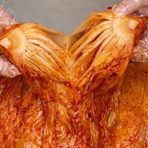 새벽팜 묵은지 5kg 10kg 국내산 100% 전라도김치 참매실 새벽김치