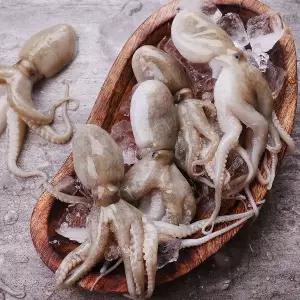 [바른씨]자연산 국산 활쭈꾸미 1kg 제철 생물 주꾸미