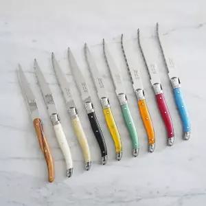 [라귀올][LAGUIOLE JEAN NERON] 장네론 라귀올 테이블 양식기 나이프 (11컬러)