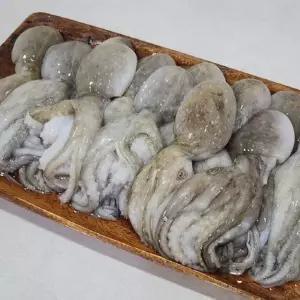 대왕 선동 통쭈꾸미 주꾸미 1kg