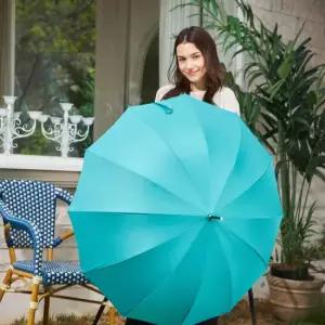 1+1 피에르가르뎅 레인보우 자동 장우산 [색상 교차선택 가능]