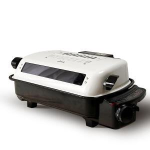 대원 국산 양면 생선구이 바베큐그릴 듀얼히팅 전기그릴 DW-FG04