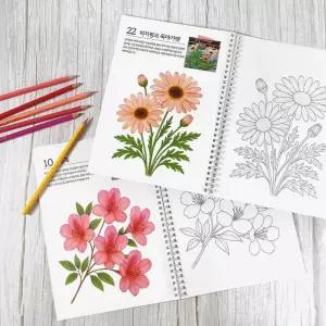 어르신 시니어 꽃 컬러링북 50페이지 색칠공부 그림색칠 미술 힐링 취미 요양원 요양병원 노인대학