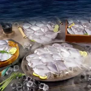 홈쇼핑 정품 신문 국내산 손질 병어 13미