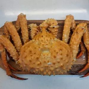 러시아 활 자숙 킹크랩 하나사키 브라운 블루 레드킹크랩 (A급 자숙 킹크랩2.7kg)