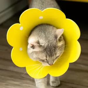 꽃모양 강아지 고양이 부드러운 넥카라/목보호대/부딛침방지/애견/개/깔대기/동물병원/깔때기