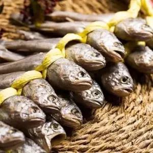 영광굴비 선물세트 20미 중