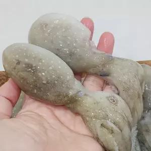 [장보리]대왕 통쭈꾸미 주꾸미 냉동 1kg