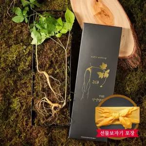 [자연삼가] 1+1 강원도 토종 산양삼 산양산삼 선물세트 5~6년근 (2뿌리)x2세트