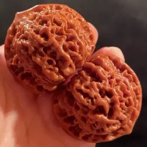 문완 호두 귀족 노리게 지압기 맛사지 손바닥 지압 더블칸