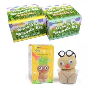 잔디 인형 새싹 화분 키우기 관찰학습 식목일