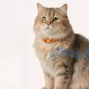 GPS 추적기 방수 반려동물 위치추적 실시간 펫케어 고양이 강아지 목걸이 분실방지