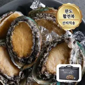 전복 특대사이즈 1kg 9 10미) + 부직포선물포장