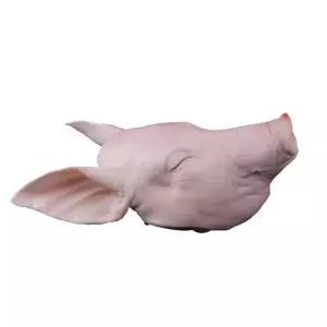 돼지머리 모형 제사 가짜 웃는돼지 편육 머리 개업