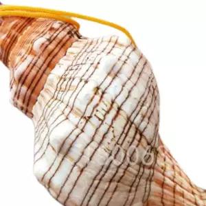 뿔나팔 뿔 소라 관악기 공예 조개 초대형 트럼펫 고둥 피리 천연 나팔 호루