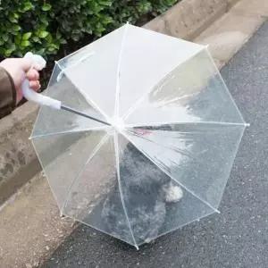[반려] 강아지 투명 우산 산책용 애견용품 비 오는 날 필수 아이템