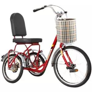 성인 할머니 인력거 세발 장보기 자전거 등받이