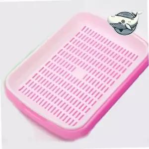 실내 원예 초보자용 새싹 재배기 보리 씨앗