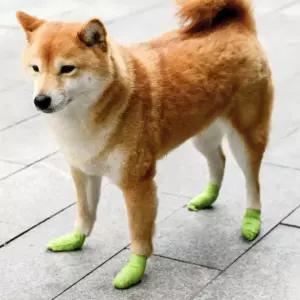 강아지 붕대 신발 대형 일회용 양말 발바닥 보호 산책 애견신발